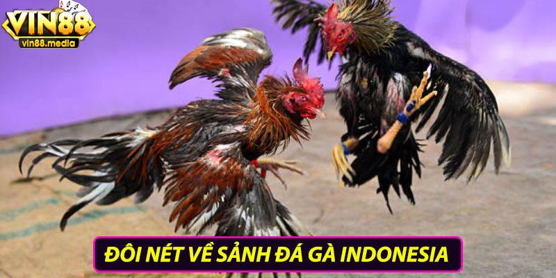 Đôi nét về sảnh đá gà Indonesia