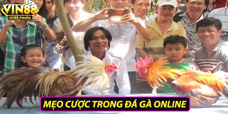 Mẹo cược đá gà online