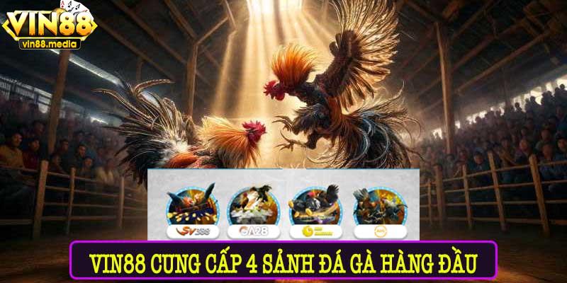Đá Gà Vin88 – sự lựa chọn số 1 cho kê thủ